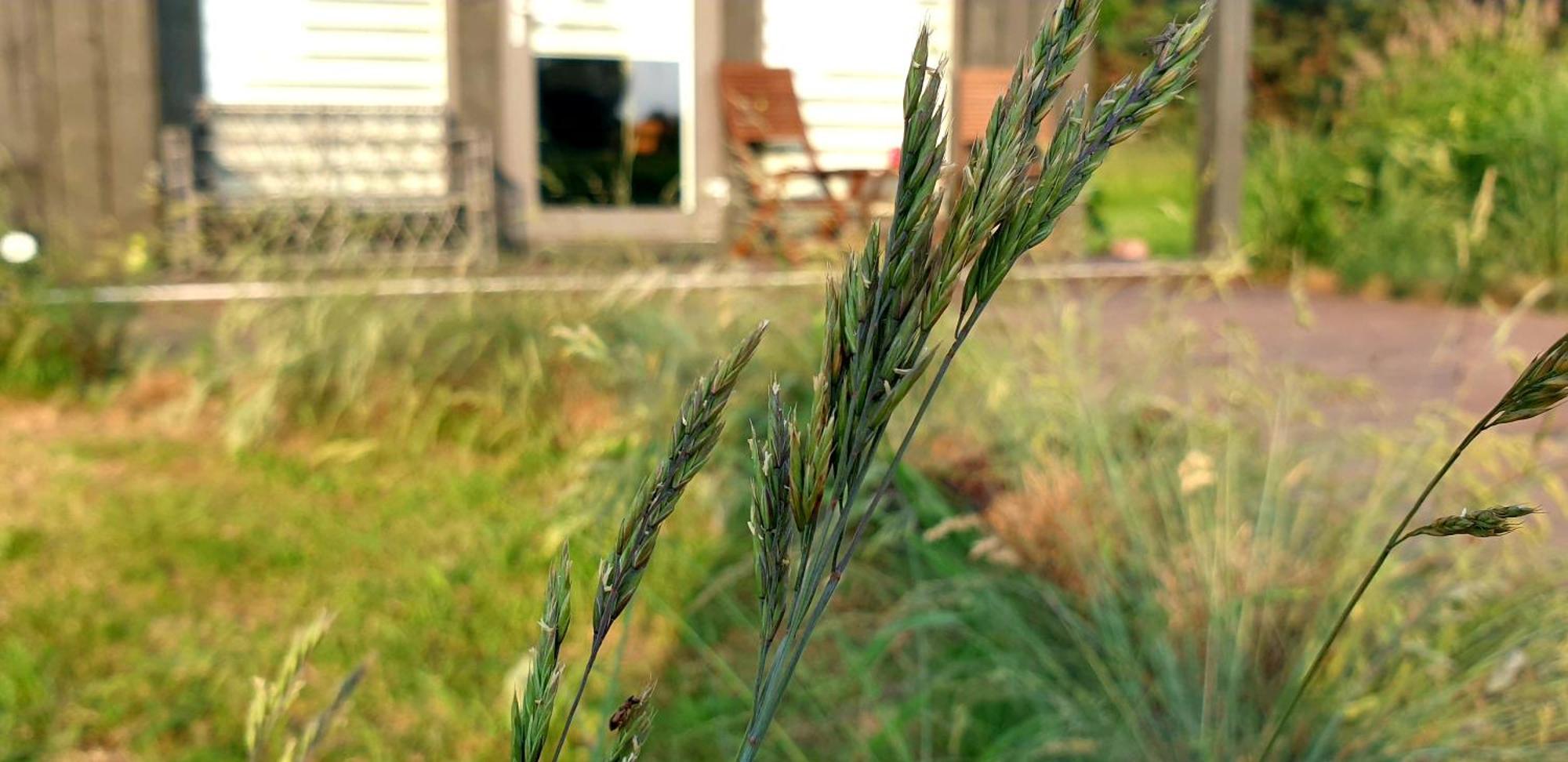 Anna'S Home Jurmalciems Buitenkant foto